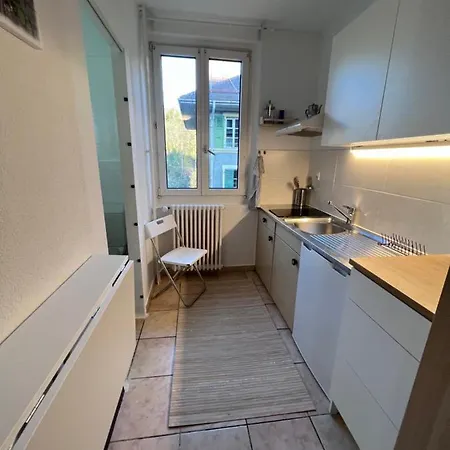 公寓 Lilas Margarita 洛桑