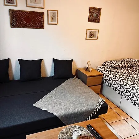 Lilas Margarita 洛桑